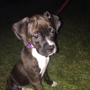 Meet your Posher, Jillette